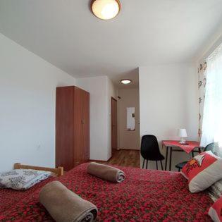 "U Skowronkow" Bed & Breakfast Bukowina Tatrzańska Exterior foto